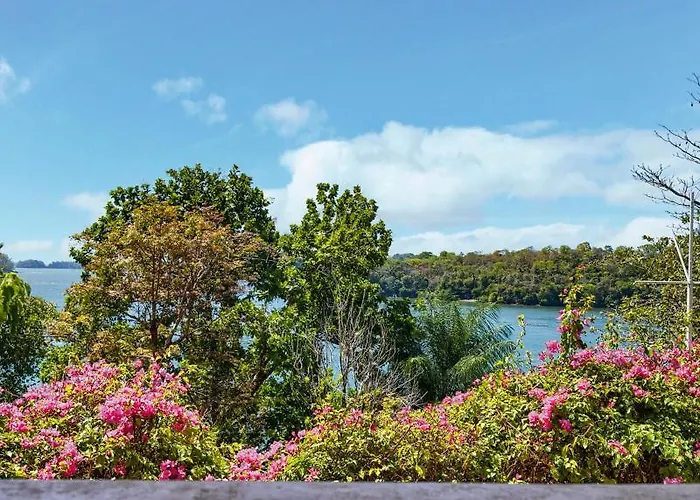Boca Chica Bnb At Gone Fishing Panama Resort
