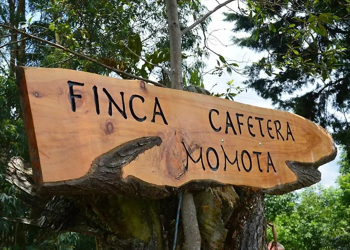 Finca Momota Salento