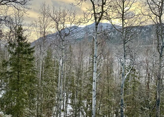Guest Suite With Hot Tub - Edge Of The Wild Eagle River