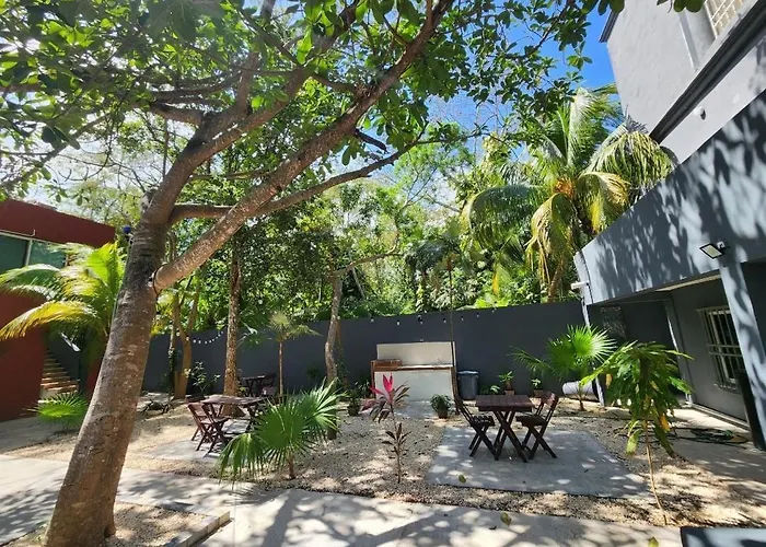 Estudios Navarro Cancún