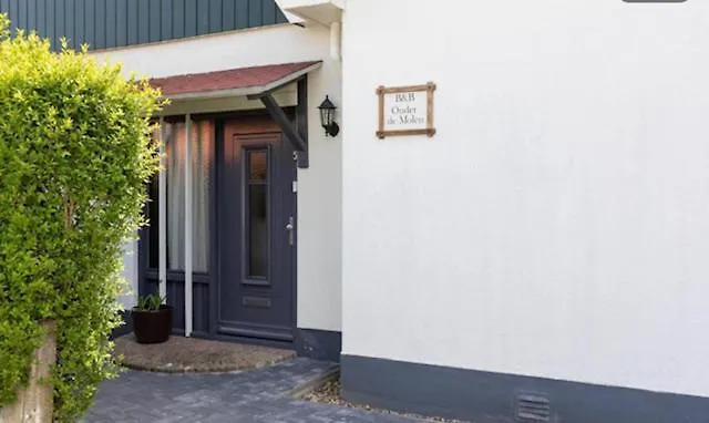 Onder de molen Bed and Breakfast Hollum 