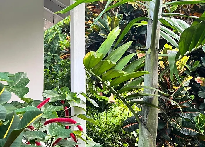 Jamaica Colors Hotel And Eco-Retreat Port Antonio