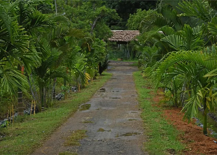 Pristine Beach Resort Diglipur