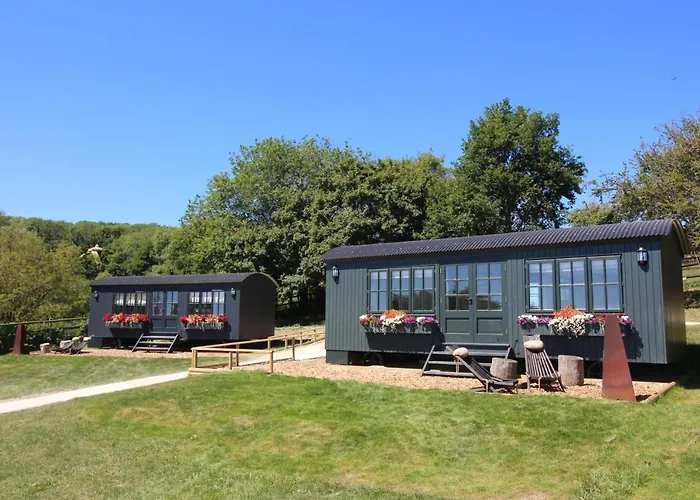 Hog Deer Creek - At Port Lympne Hotel & Reserve