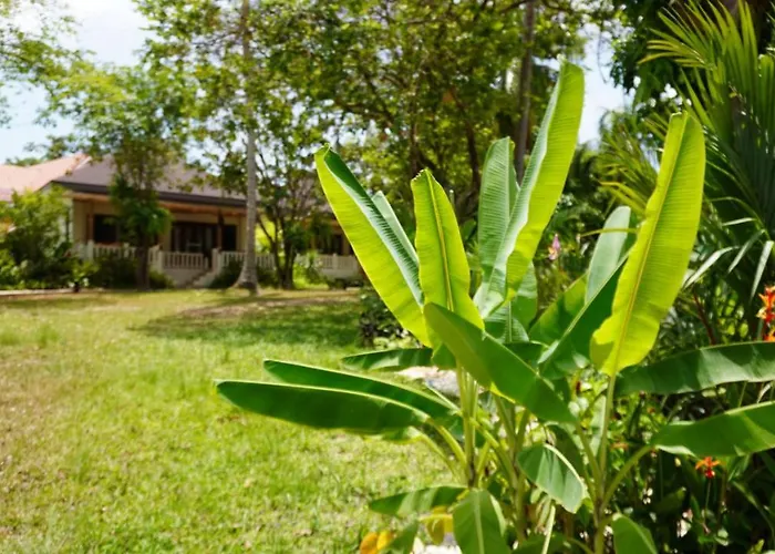 Treeya Lanta Hotel Ko Lanta