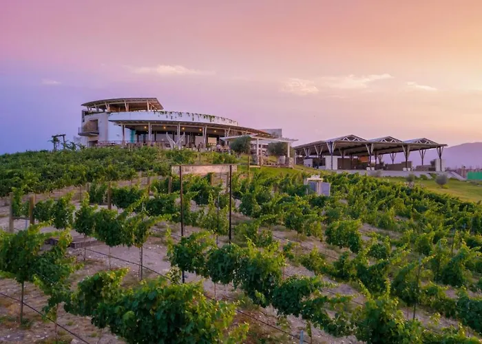 Hotel Vinicola Parvada By Lumina Parras de la Fuente