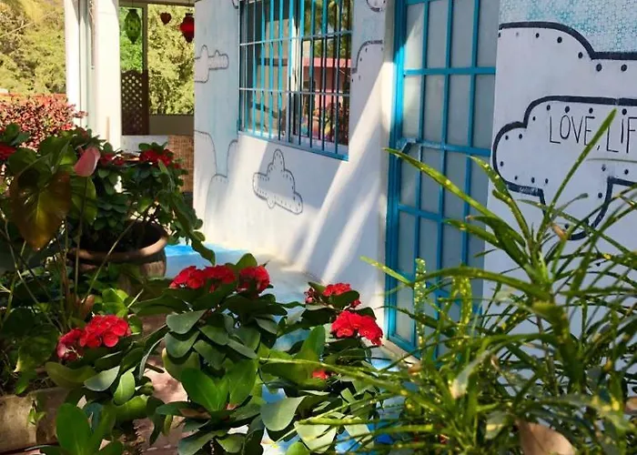 Surf N Roll House Hotel Sayulita