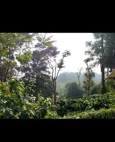 Coffeeland Homestay Madikeri