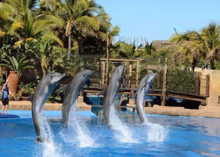 Precious Paradise Ushaka Durban