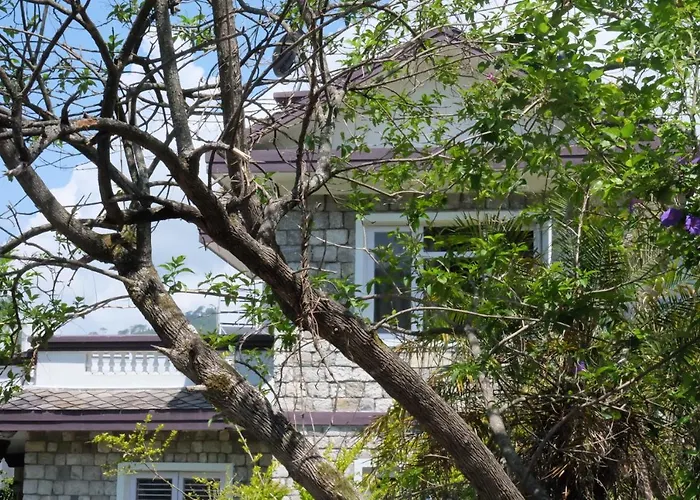 Sambodhi Yoga Home Kathmandu
