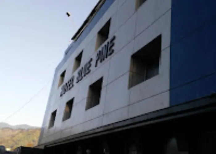 Hotel Blue Pine Arunachal Pradesh Itanagar
