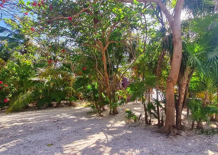 Hotel Maya Luna Adults Only Mahahual