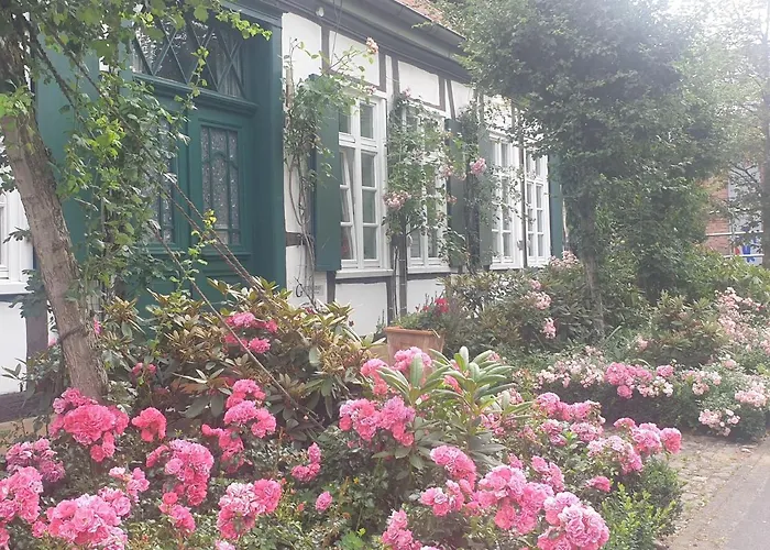 Rosindell Cottage Halle 