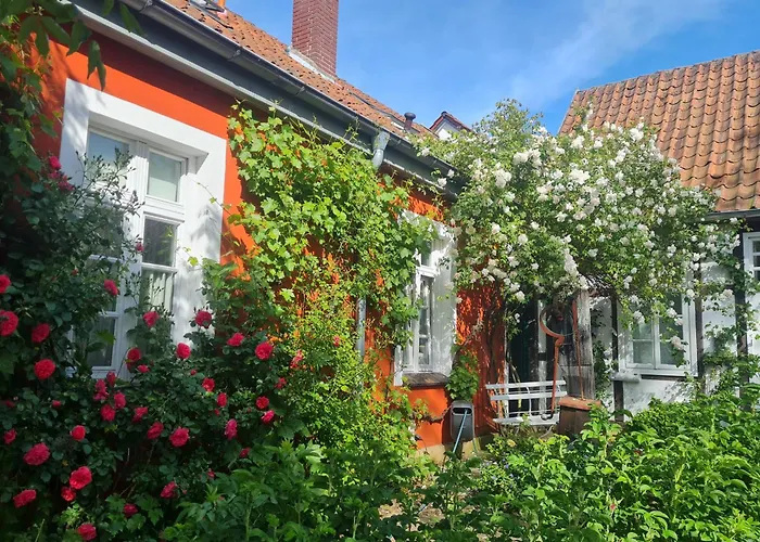 Rosindell Cottage Halle 