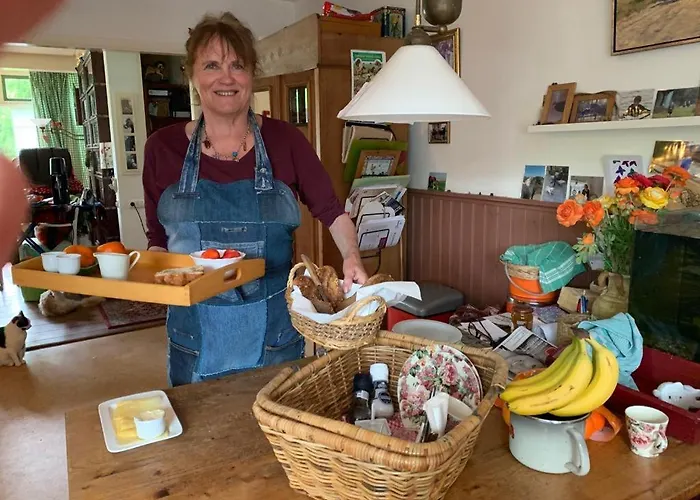 Bed&Breakfast Het Oude Bos Wijnjewoude