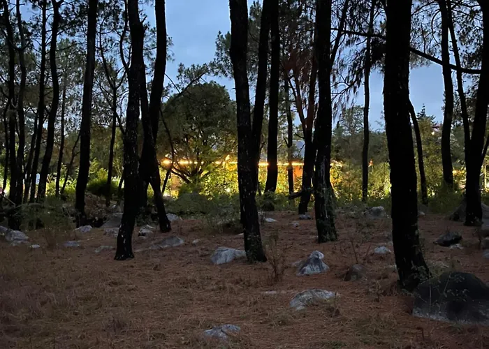 Prakriti Aalay - Riverside Mountain View Boutique Eco Resort Dharamshala