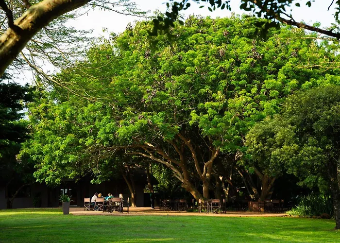 Falaza Game Park And Spa Hluhluwe