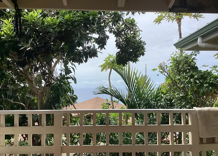 Kona Hawaii Guest House A Unique Hawaii Experience Keauhou