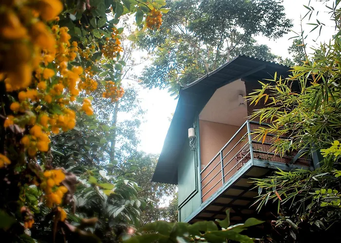 Edens Munnar Hotel