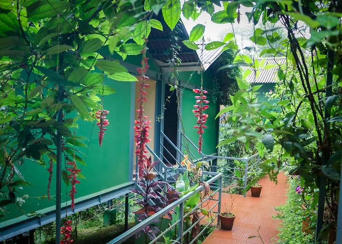 Edens Munnar Hotel