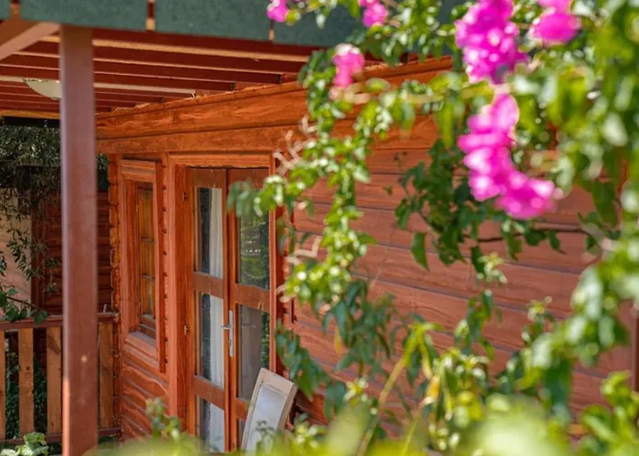 Felicity Hotel & Bungalows Kemer