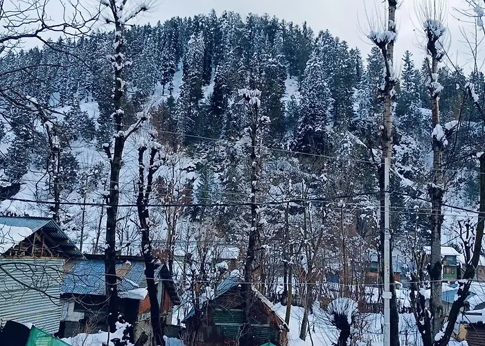 Mir Guest House Pahalgam