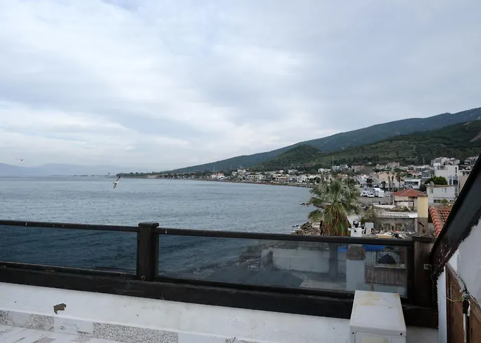 Black Lotus İzmir