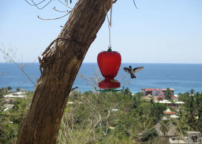 Casa Biulu Bed & Breakfast Zipolite
