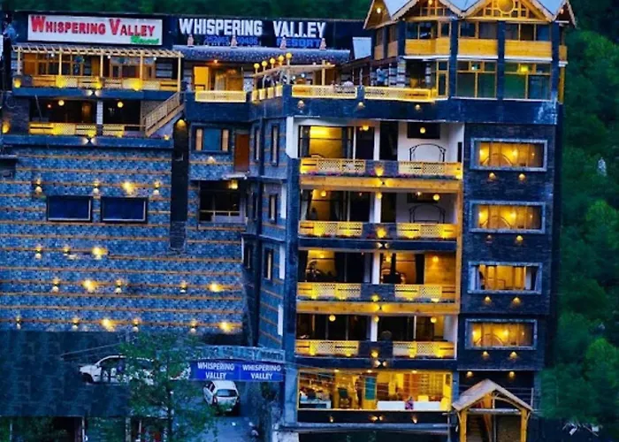 Dup Hotel Manali 