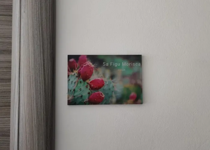 Sa Mama 'E Su Sole Bed & Breakfast Cagliari
