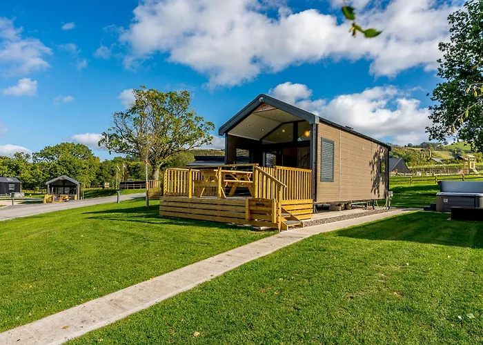 Hillside Cabin Caersws