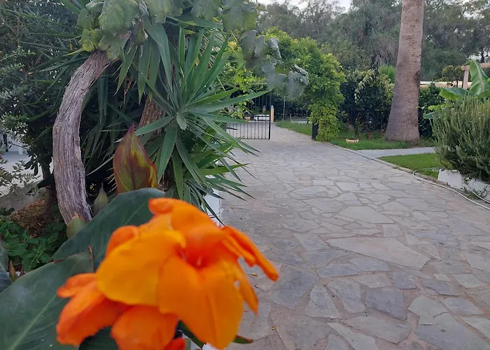 Amelia'S Garden Aparthotel Kavos