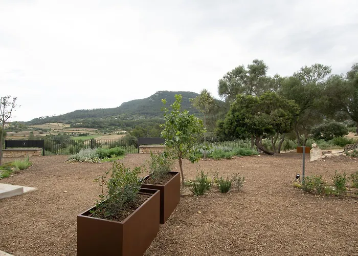 Fincahotel Treurer - Olive Grove & Grand House - Adults Only Algaida 