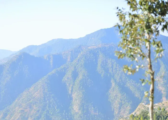 Haut Monde King'S Paradise Resort Kanatal
