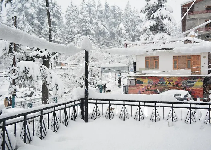 The Neelgiris Hotel Manali 
