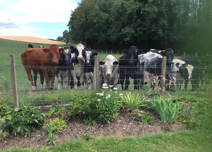 Retreat At The Knowe Auchincruive Estate Bed & Breakfast Ayr