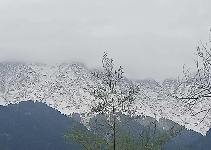 Hotel O Snow Mountain Guest House & Restaurant Dharamshala