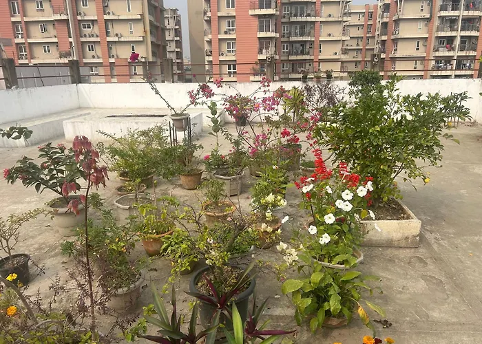 Anne'S Laces Homestay Guwahati