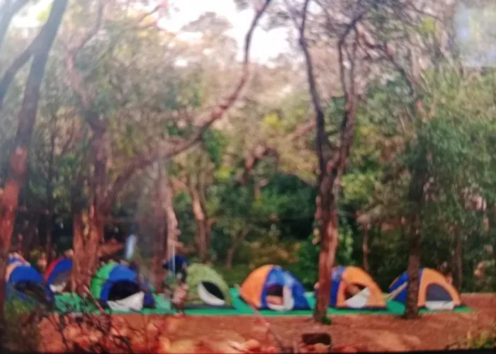 Hilltone Veg Non Veg Matheran