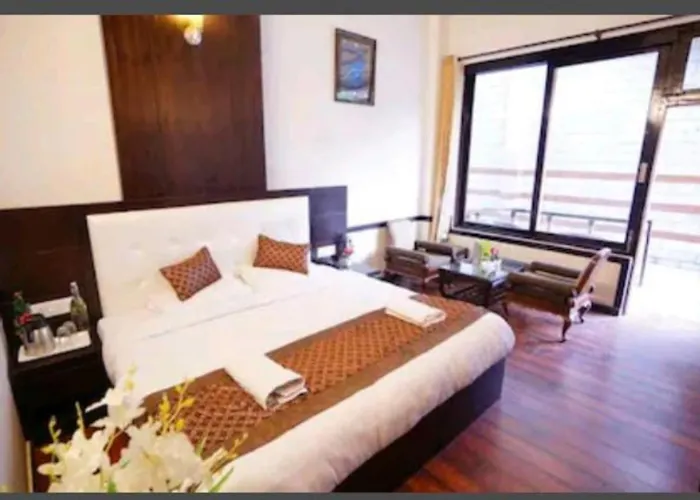 Dup Hotel Manali 