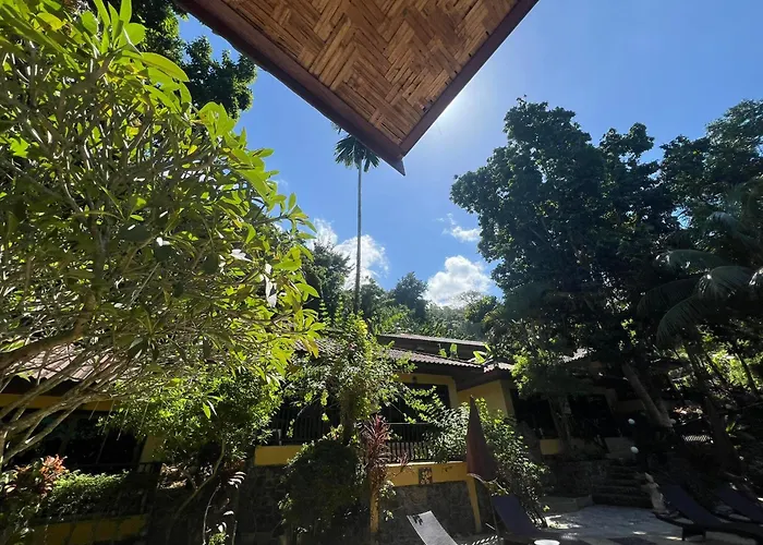 The Hill Resort 希尔度假屋 Patong