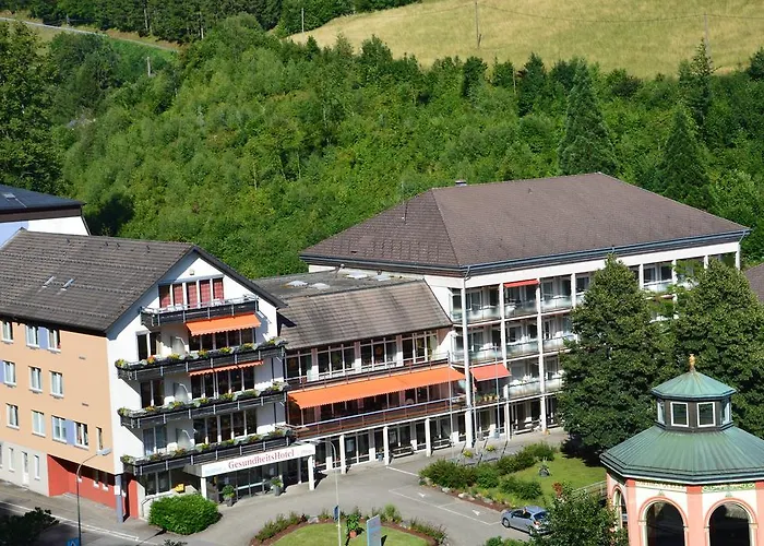 GesundheitsHotel Das Bad Peterstal