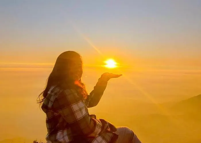 Triund Trek Hotel Dharamshala