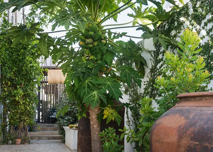 Altanure Almatere - Food Forest Boutique Stay Tavira