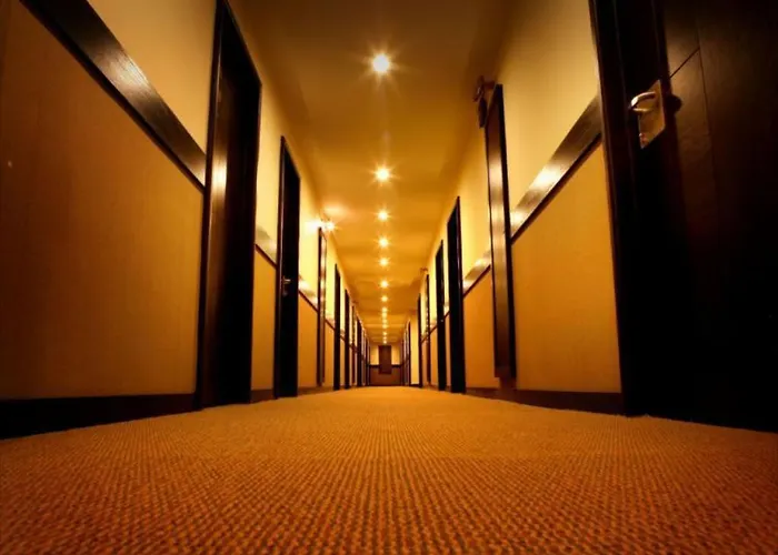 Hotel Sunflower Mysore