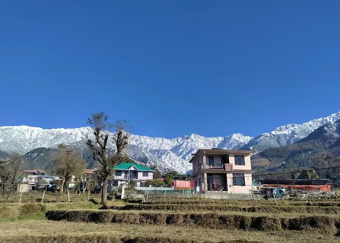 Homestay Palampur View