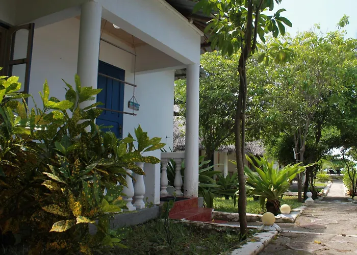 Driftwood Beach Lodge Jambiani 