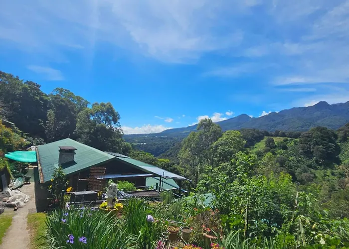 Eco Horqueta Bed & Breakfast Boquete