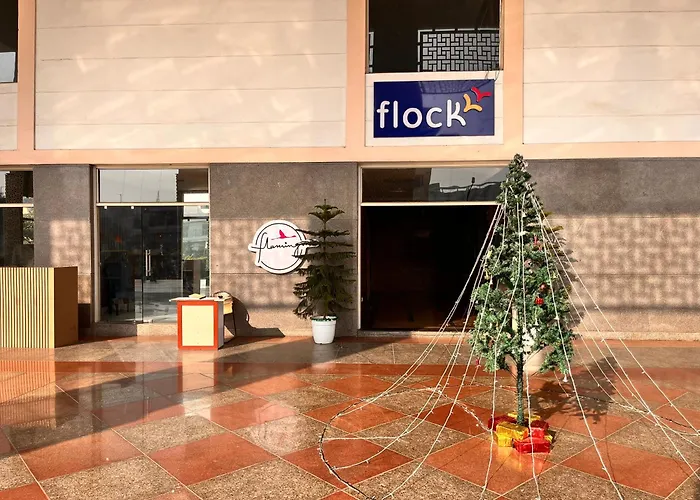 Flamingo Hotel Sector 67 I Studio Rooms I Gurgaon