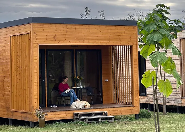 Chubini Winery & Cabins Kvareli